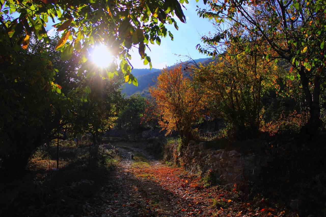 Villa, Relaxing-Beautiful Mountain View, Berat Eksteriør billede